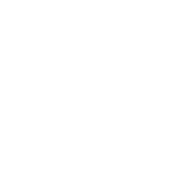 ecco logo white