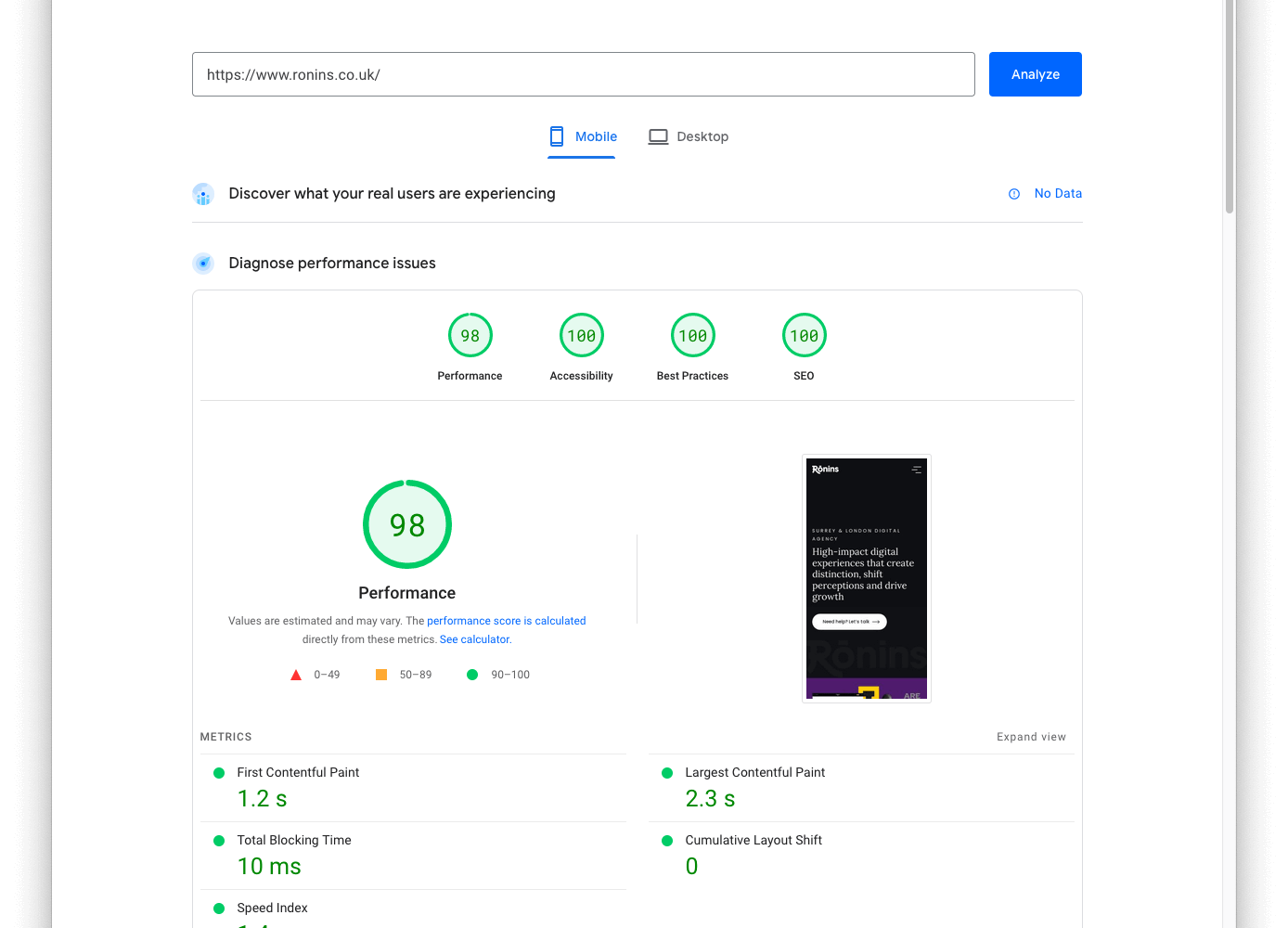 page speed insights results for ronins website