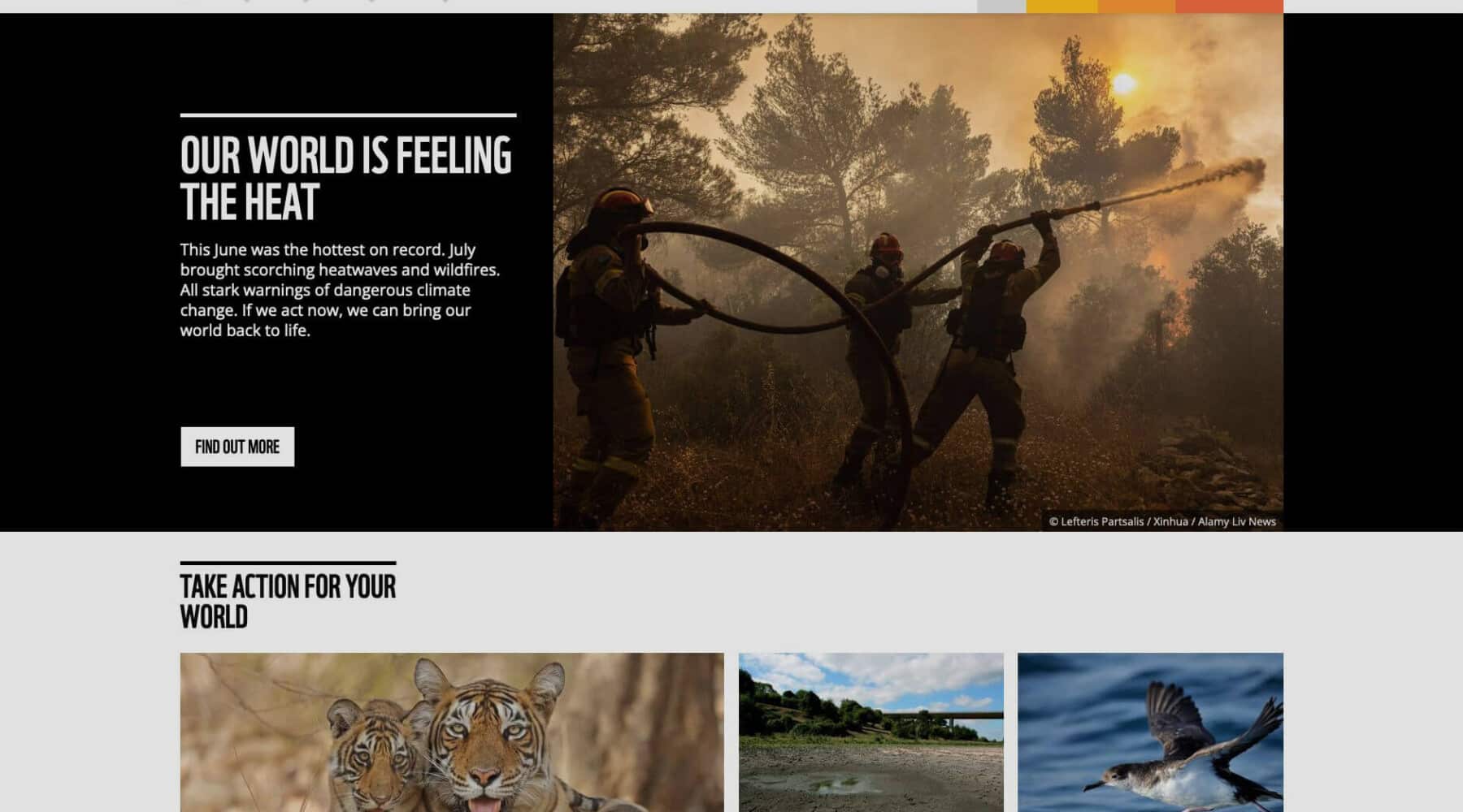 World Wildlife Fund website homepage